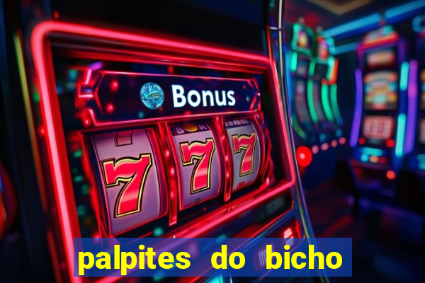 palpites do bicho no celular