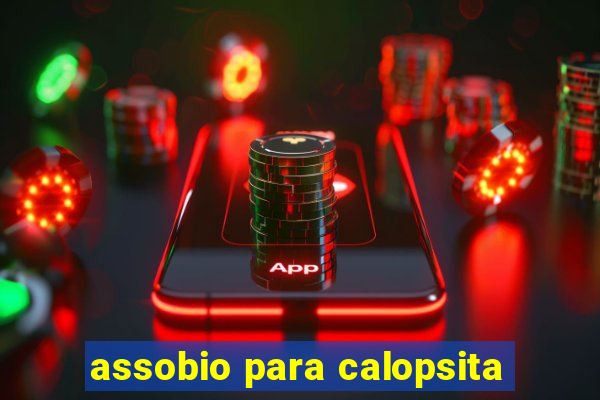 assobio para calopsita