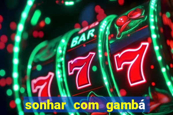 sonhar com gambá jogo do bicho