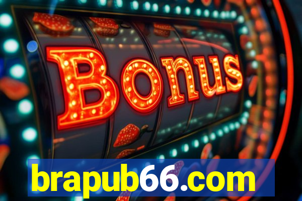 brapub66.com