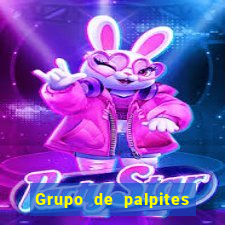 Grupo de palpites de futebol gratis