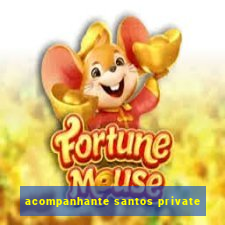 acompanhante santos private